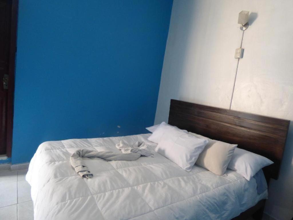 Qosqollay Plaza De Armas Bed & Breakfast Cusco Ngoại thất bức ảnh